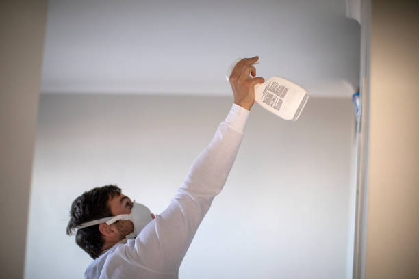 Best Black Mold Removal  in Hopewell, NJ
