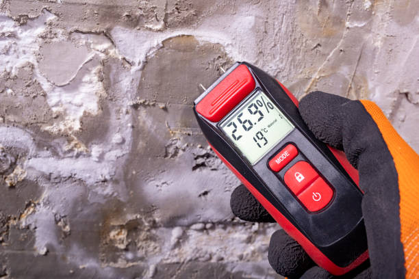 Best Mold Removal Company Near Me  in Hopewell, NJ