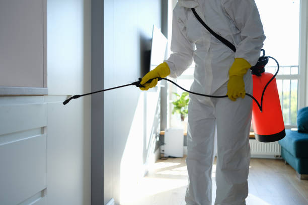 Best Local Mold Removal Service  in Hopewell, NJ