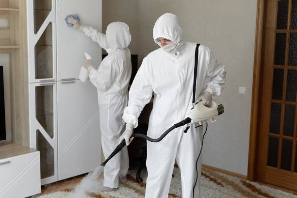 Attic Mold Removal in Hopewell, NJ