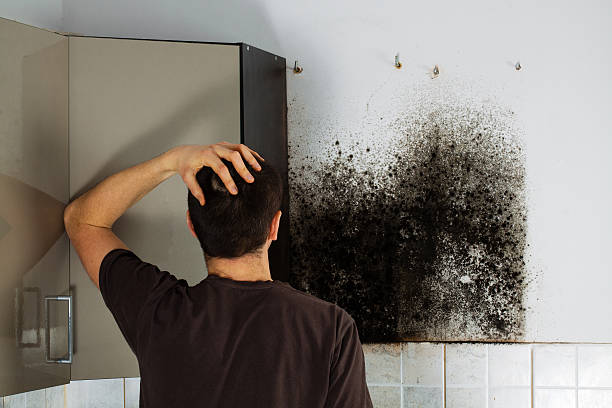 Best Commercial Mold Removal  in Hopewell, NJ
